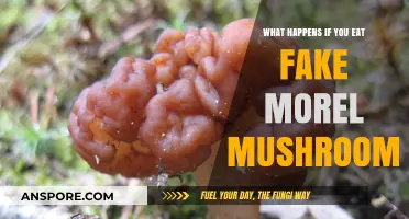 Eating Fake Morel Mushrooms: Risks, Symptoms, and What to Do