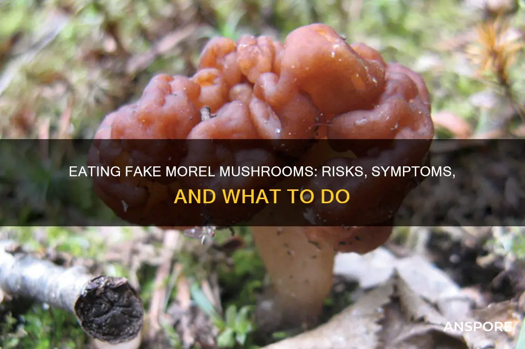 what happens if you eat fake morel mushrooms