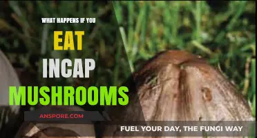 Eating Inky Cap Mushrooms: Risks, Symptoms, and What to Expect