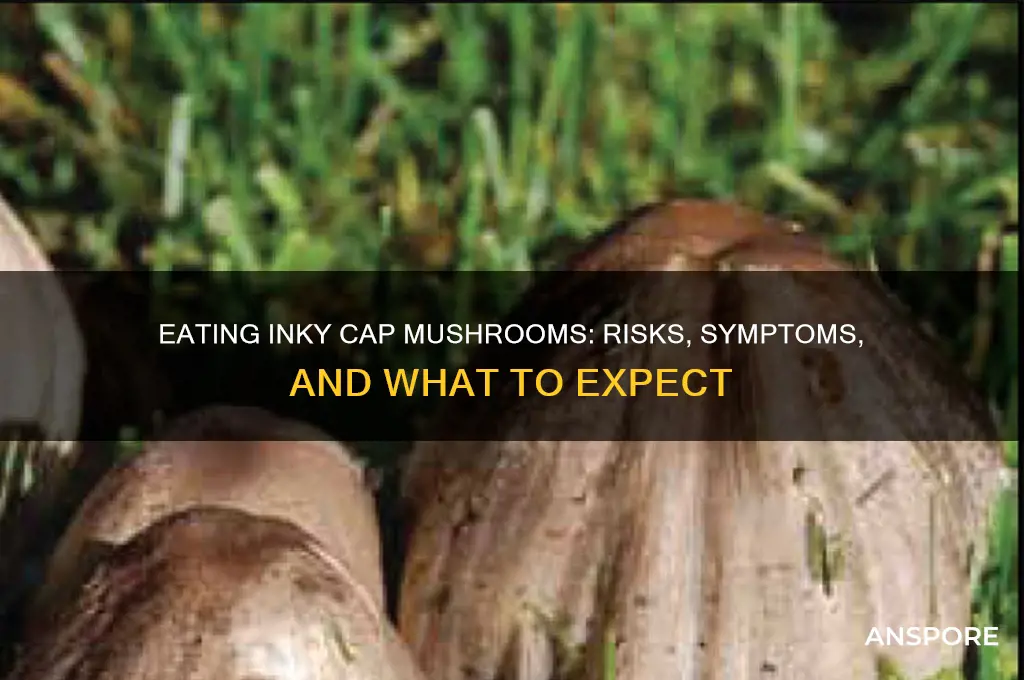 what happens if you eat incap mushrooms