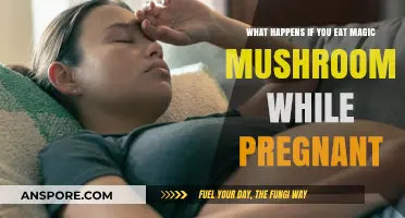 Pregnancy and Psilocybin: Risks of Eating Magic Mushrooms While Expecting