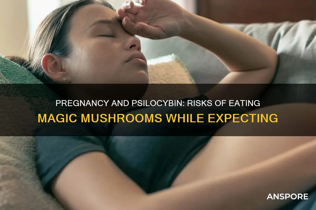 what happens if you eat magic mushrooms while pregnant