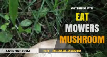 Toxic Truth: Eating Mower Mushrooms' Deadly Consequences Explained