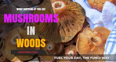 Foraging Risks: What Happens If You Eat Wild Mushrooms in Woods?