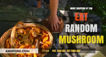 Eating Random Mushrooms: Risks, Dangers, and Potential Consequences Explained