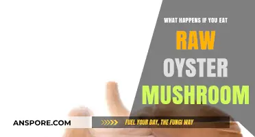 Raw Oyster Mushrooms: Risks, Benefits, and Safe Consumption Tips