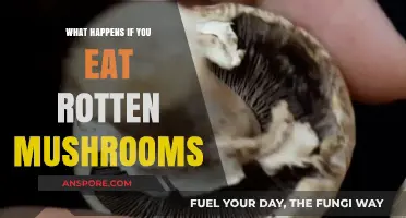 Eating Rotten Mushrooms: Risks, Symptoms, and When to Seek Help