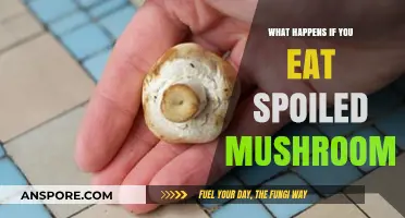 Spoiled Mushrooms: Risks, Symptoms, and When to Seek Help