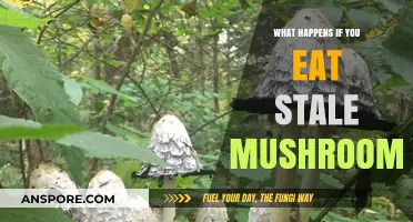 Stale Mushrooms: Risks, Symptoms, and When to Seek Help