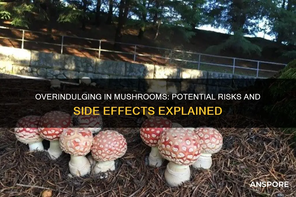 what happens if you eat to much mushrooms