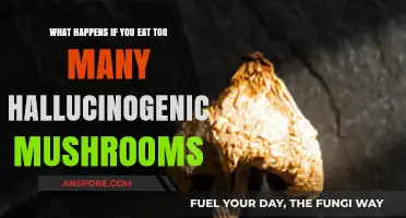 Overdosing on Hallucinogenic Mushrooms: Risks, Effects, and What to Expect