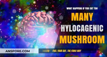 Overindulging in Psilocybin Mushrooms: Risks, Effects, and Safety Concerns
