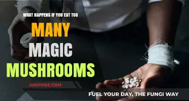 Overdosing on Magic Mushrooms: Risks, Effects, and What to Expect