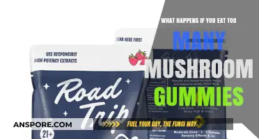 Overindulging in Mushroom Gummies: Potential Risks and Side Effects