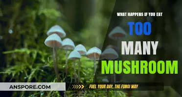 Overindulging in Mushrooms: Potential Risks and Health Consequences Explained
