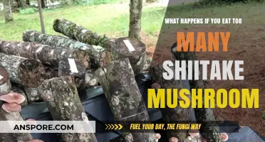 Overindulging in Shiitake Mushrooms: Potential Risks and Side Effects