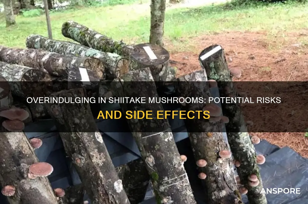 what happens if you eat too many shiitake mushrooms