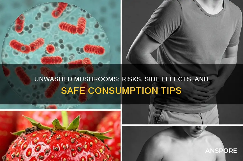 what happens if you eat unwashed mushrooms