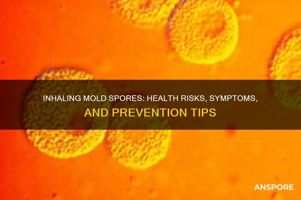 what happens if you inhale mold spores