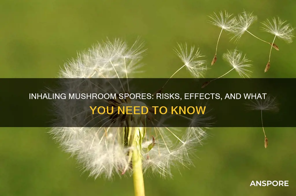 what happens if you inhale mushroom spores