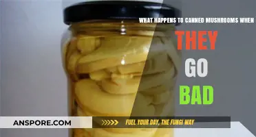 Spoiled Canned Mushrooms: Signs, Risks, and Safe Disposal Tips