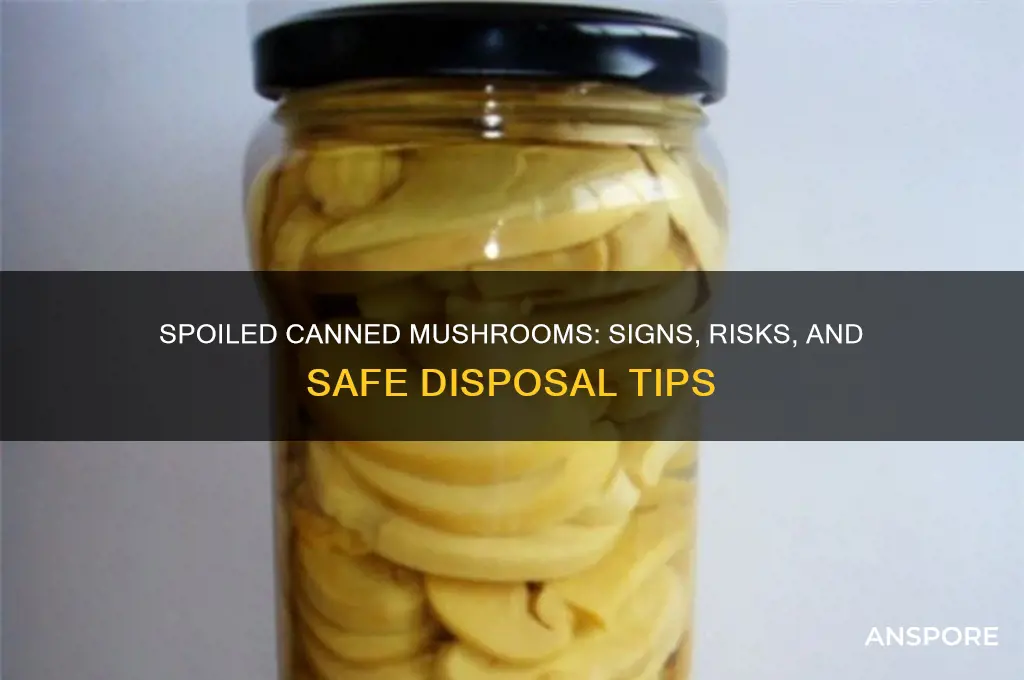 what happens to canned mushrooms when they go bad