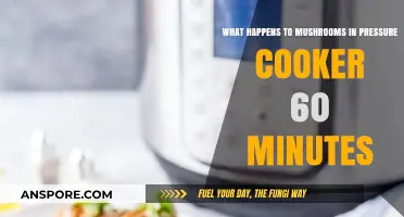 Pressure Cooking Mushrooms: 60-Minute Transformation Explained