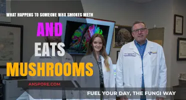 Meth and Mushrooms: Dangerous Effects of Mixing Stimulants and Psychedelics