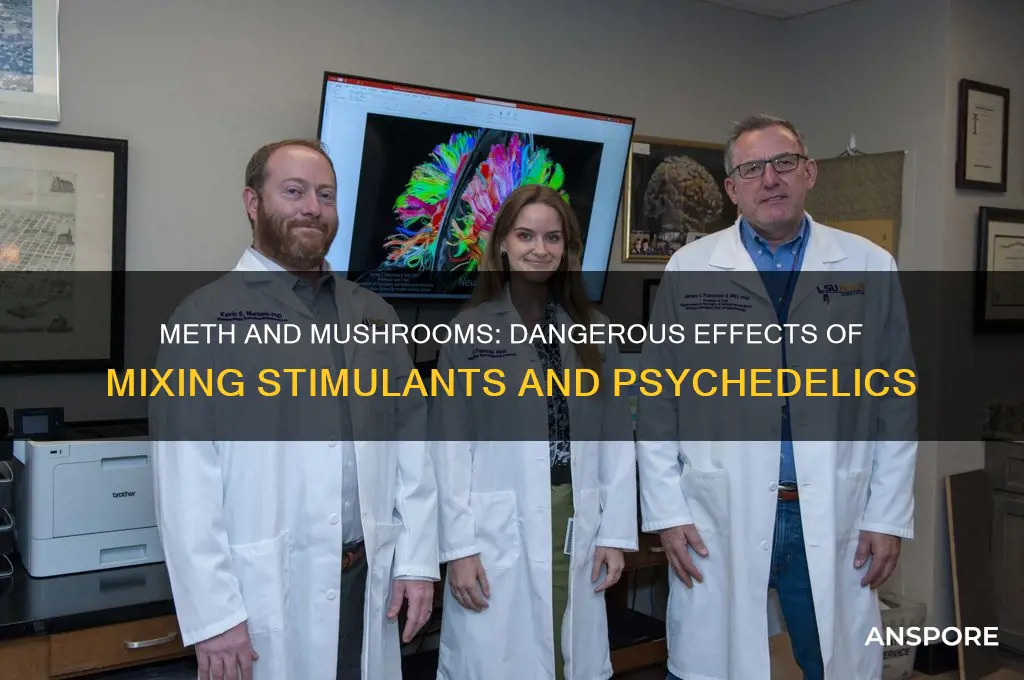 what happens to someone who smokes meth and eats mushrooms