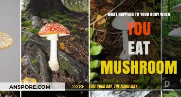 Mushrooms' Impact: Unveiling Their Surprising Effects on Your Body