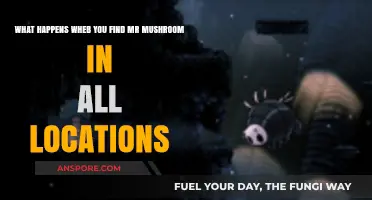 Discovering Mr. Mushroom: Unlocking Secrets in Every Hidden Location