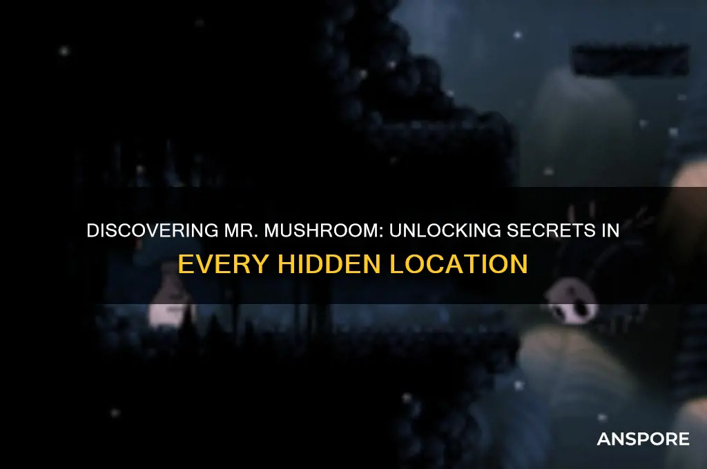 what happens wheb you find mr mushroom in all locations