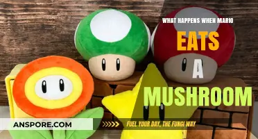 Mario's Mushroom Power-Up: Effects, Origins, and Super Abilities Explained