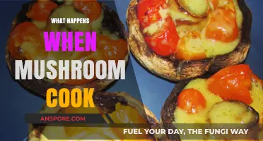 Exploring the Magic: What Happens When Mushrooms Are Cooked