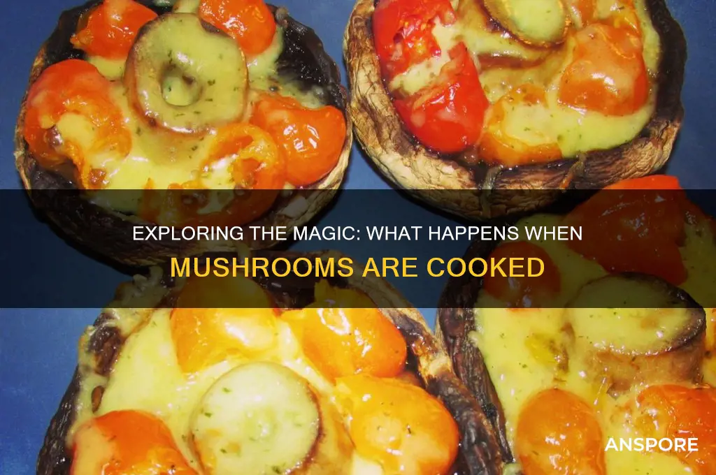 what happens when mushroom cook