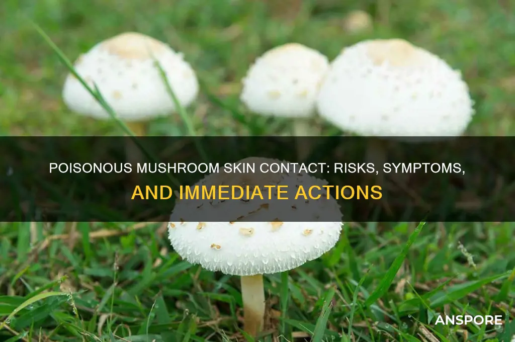 what happens when poison mushrooms touch skin