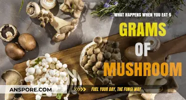 Exploring the Effects of Consuming 5 Grams of Mushrooms
