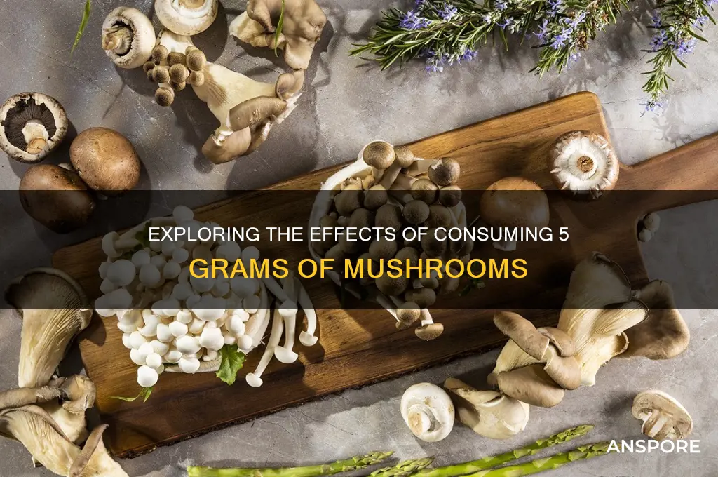 what happens when you eat 5 grams of mushrooms