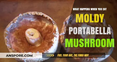 Moldy Portabella Mushrooms: Risks, Symptoms, and When to Seek Help