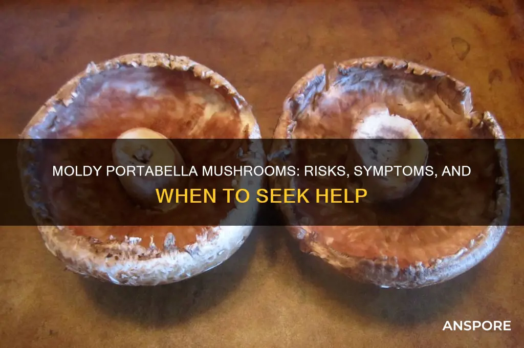 what happens when you eat moldy portabella mushrooms