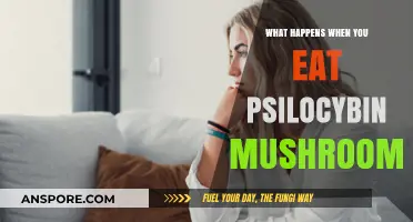 Exploring Psilocybin Mushrooms: Effects, Experiences, and Potential Risks