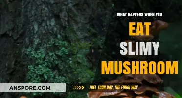 Slimy Mushrooms: Risks, Symptoms, and What to Do After Consumption