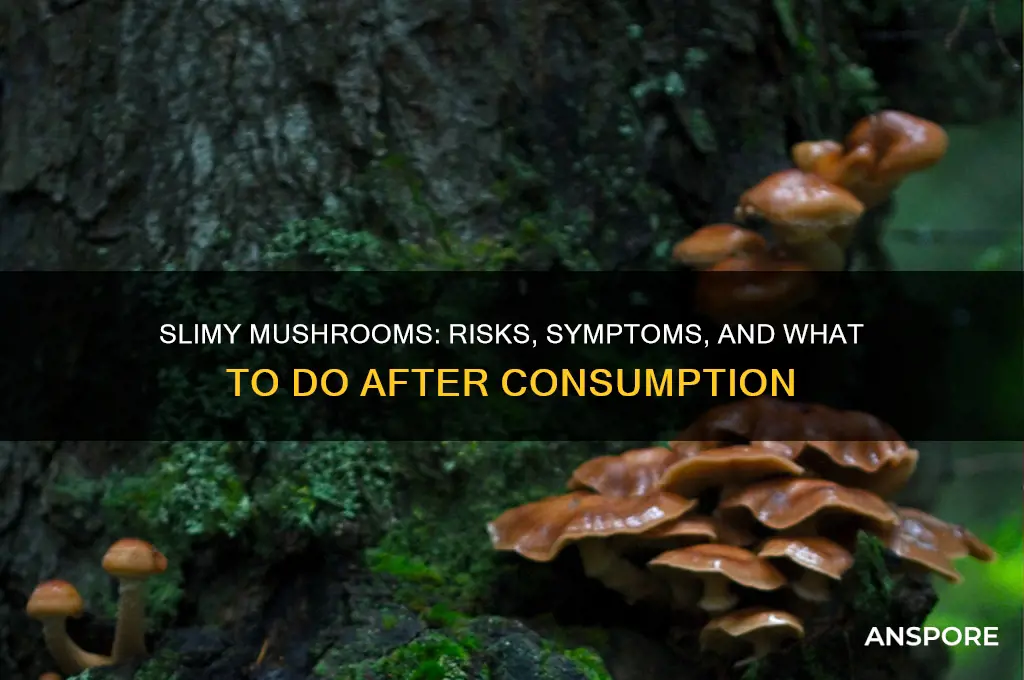 what happens when you eat slimy mushrooms