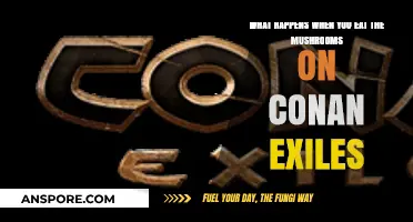 Conan Exiles Mushroom Effects: Survival Benefits or Risks Explained