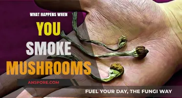 Smoking Mushrooms: Effects, Risks, and What You Need to Know