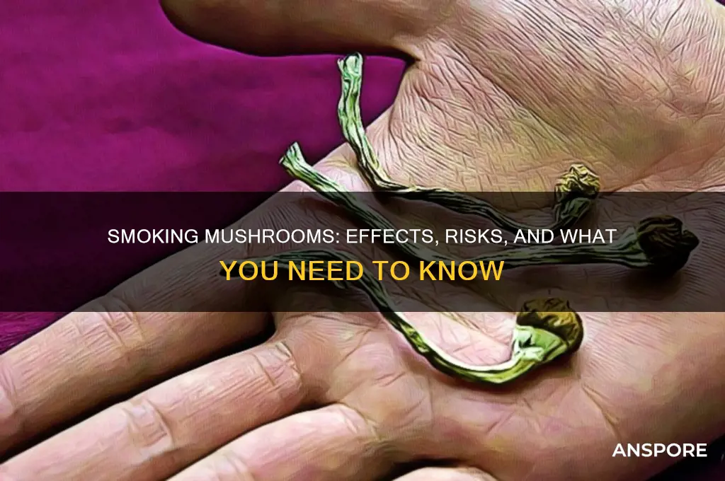 what happens when you smoke mushrooms