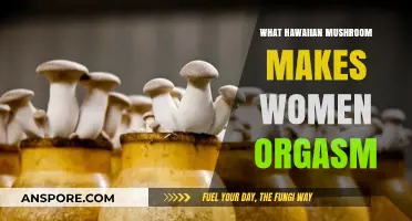 Hawaiian Magic Mushroom: Unveiling the Orgasm-Inducing Fungus for Women
