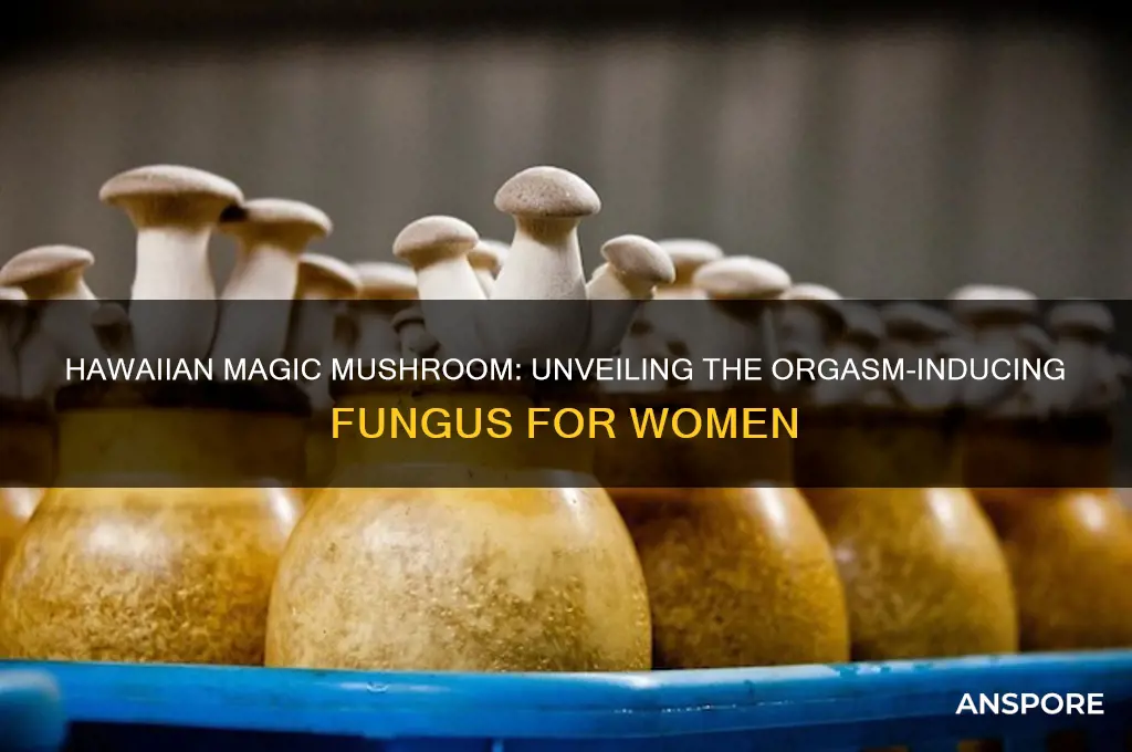 what hawaiian mushroom makes women orgasm