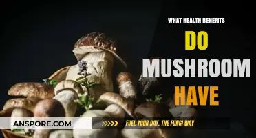 Mushrooms' Surprising Health Benefits: Boost Immunity, Brain Function, and More