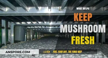 Keep Mushrooms Fresh: Tips and Tricks